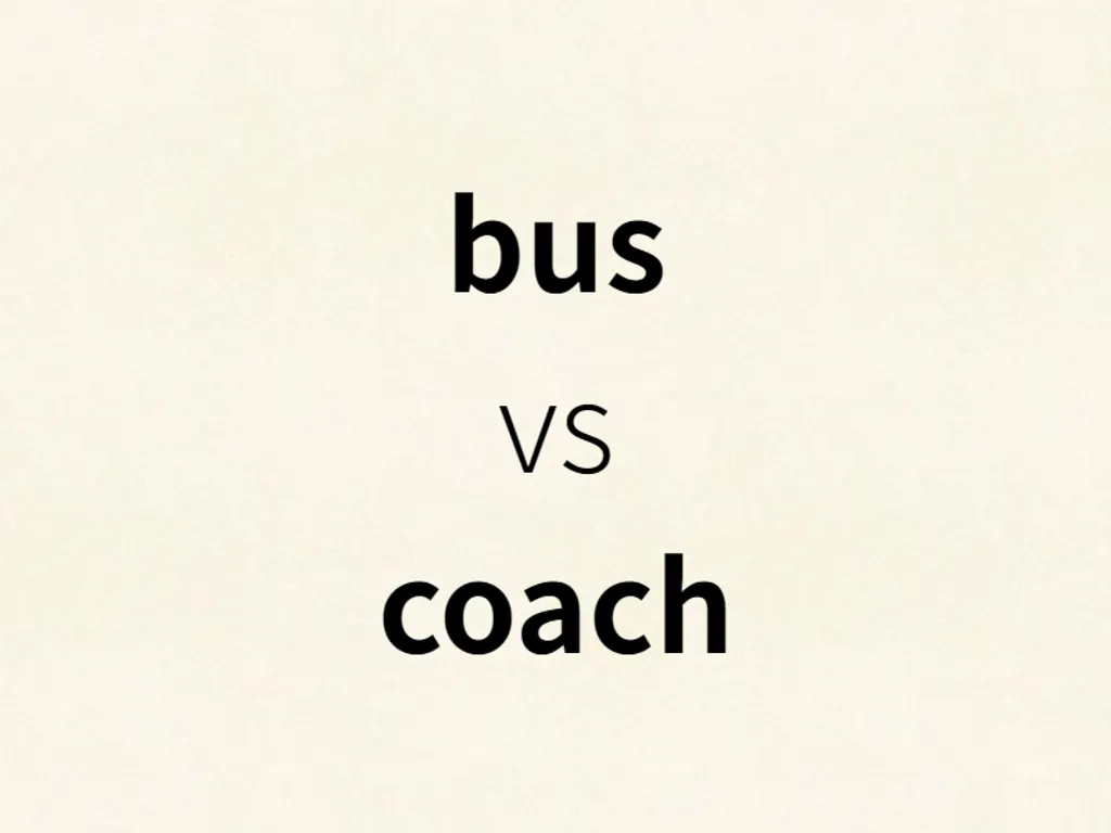 bus vs coach