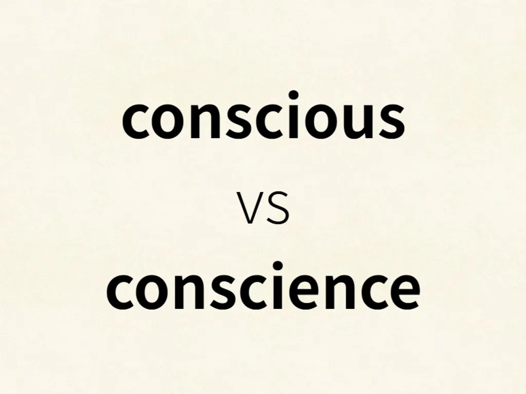 conscious vs conscience