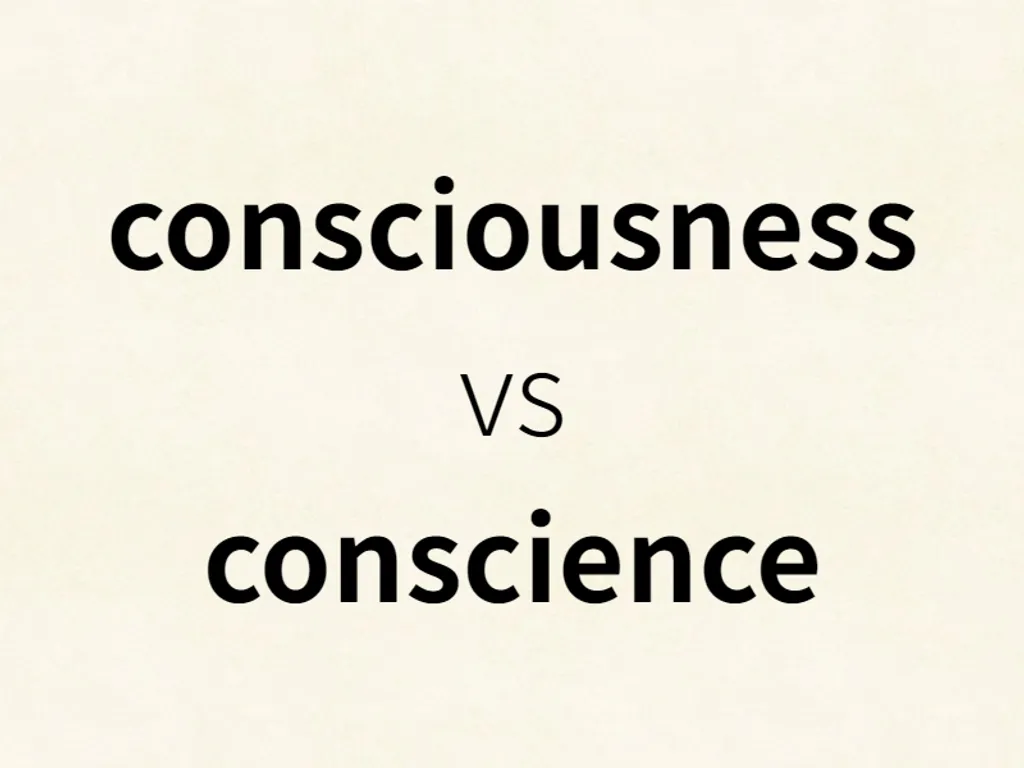 consciousness vs conscience