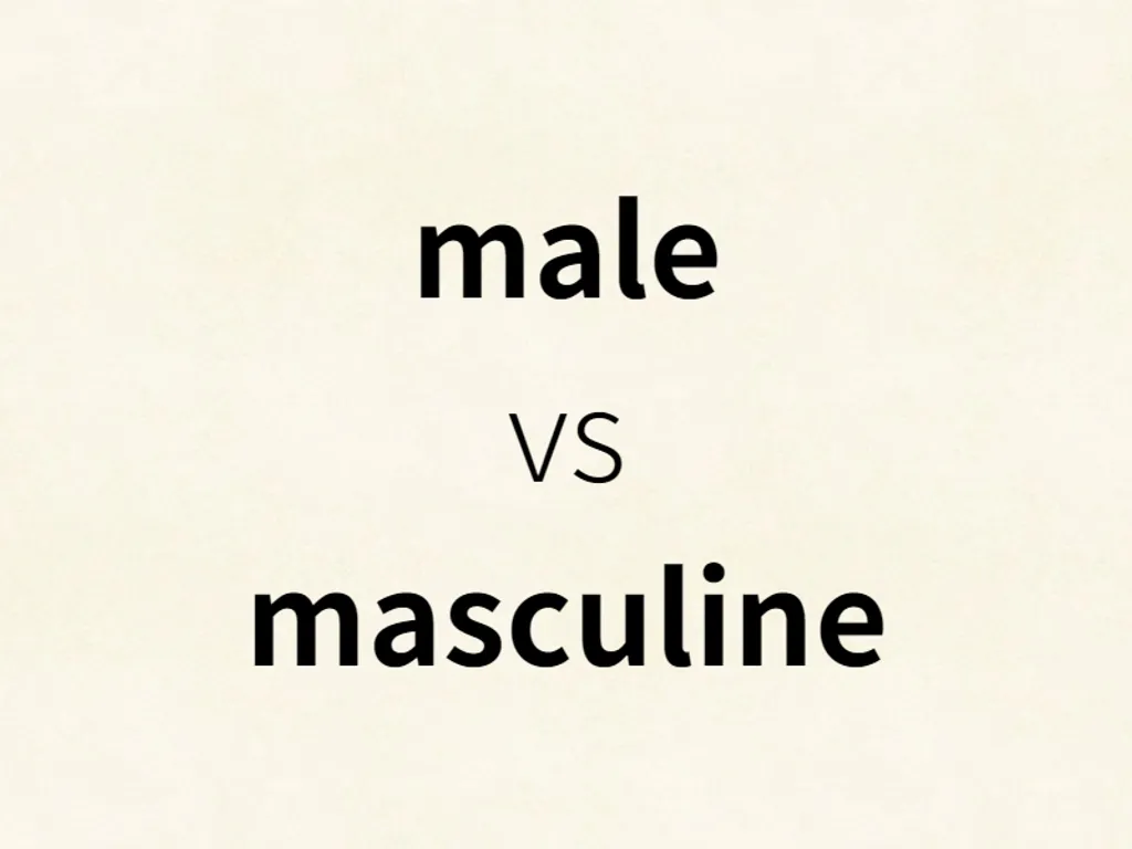 male vs masculine