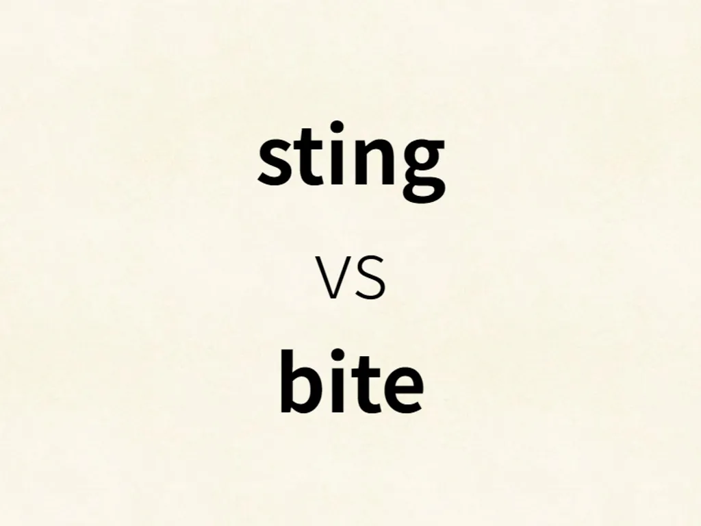 sting vs bite